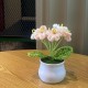 Mini Knitting Potted Flowers Lovely Forget-me-not Crochet Pot Flowers for Dec
