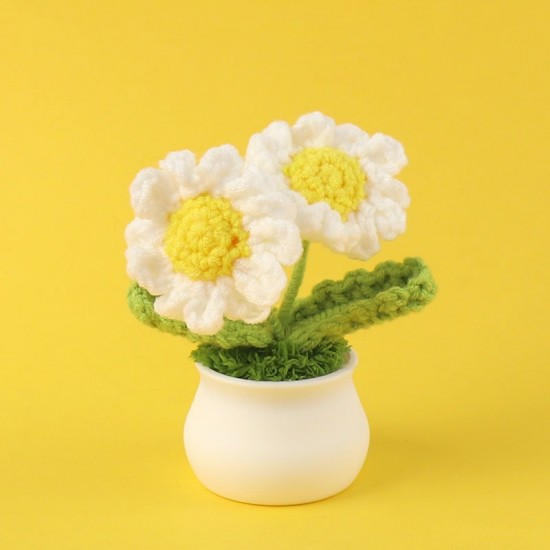 Handmade Kint Mini Couple Head Crochet Flower Potted 