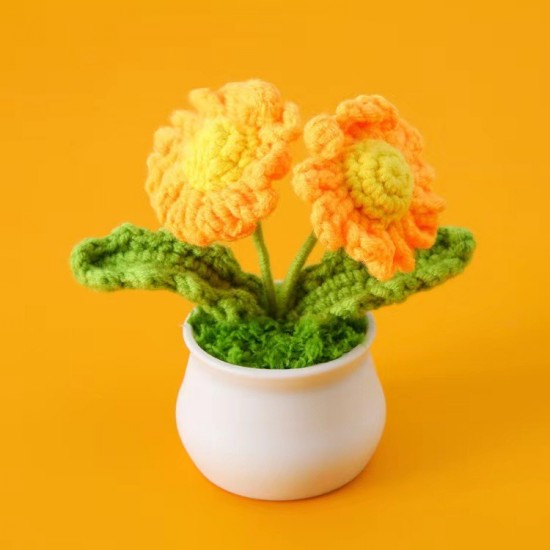 Handmade Kint Mini Couple Head Crochet Flower Potted 